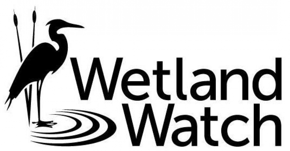 gallery/wetland watch facebook logows